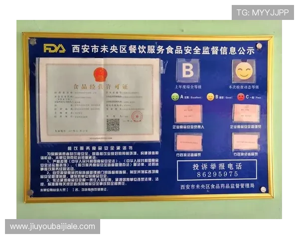 凯发真人手机版如何保障玩家资金安全,提供全面的安全保障措施